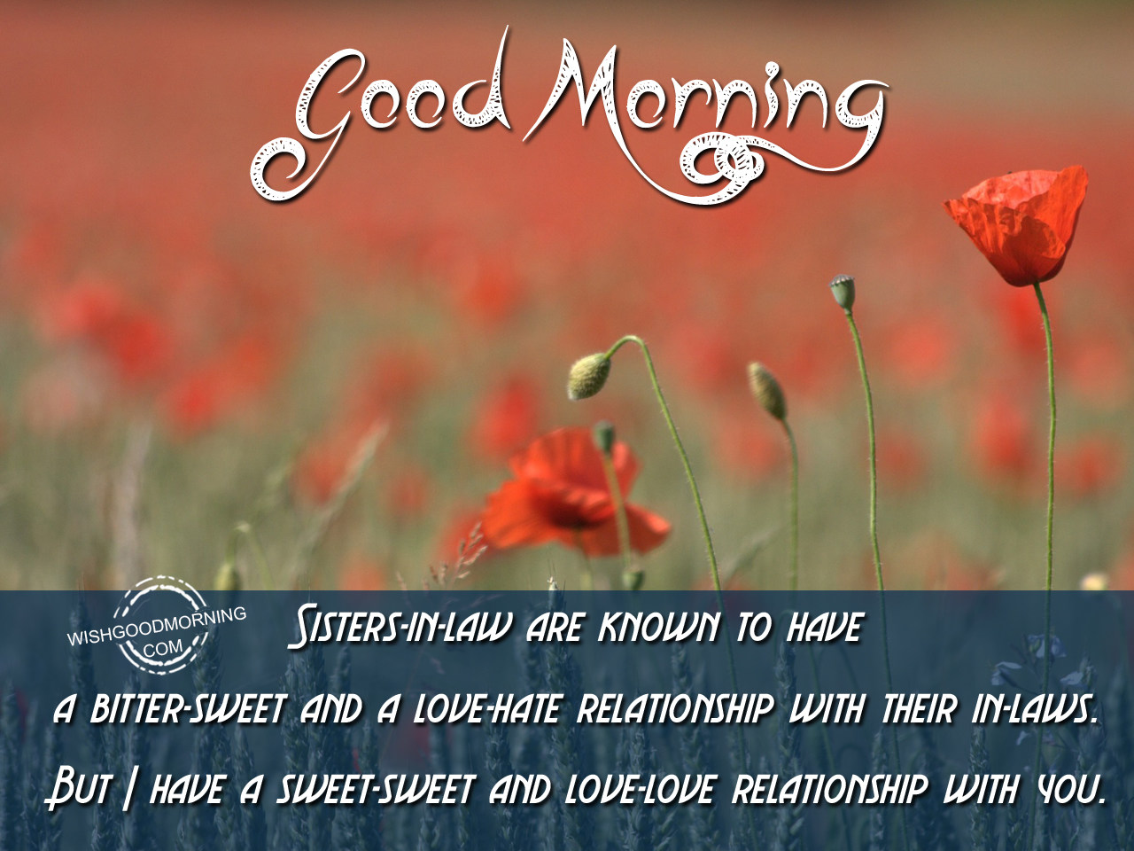 a href="https://www.wishgoodmorning.com/good-morning-wishes-for-sister-in-law/a-sweet...