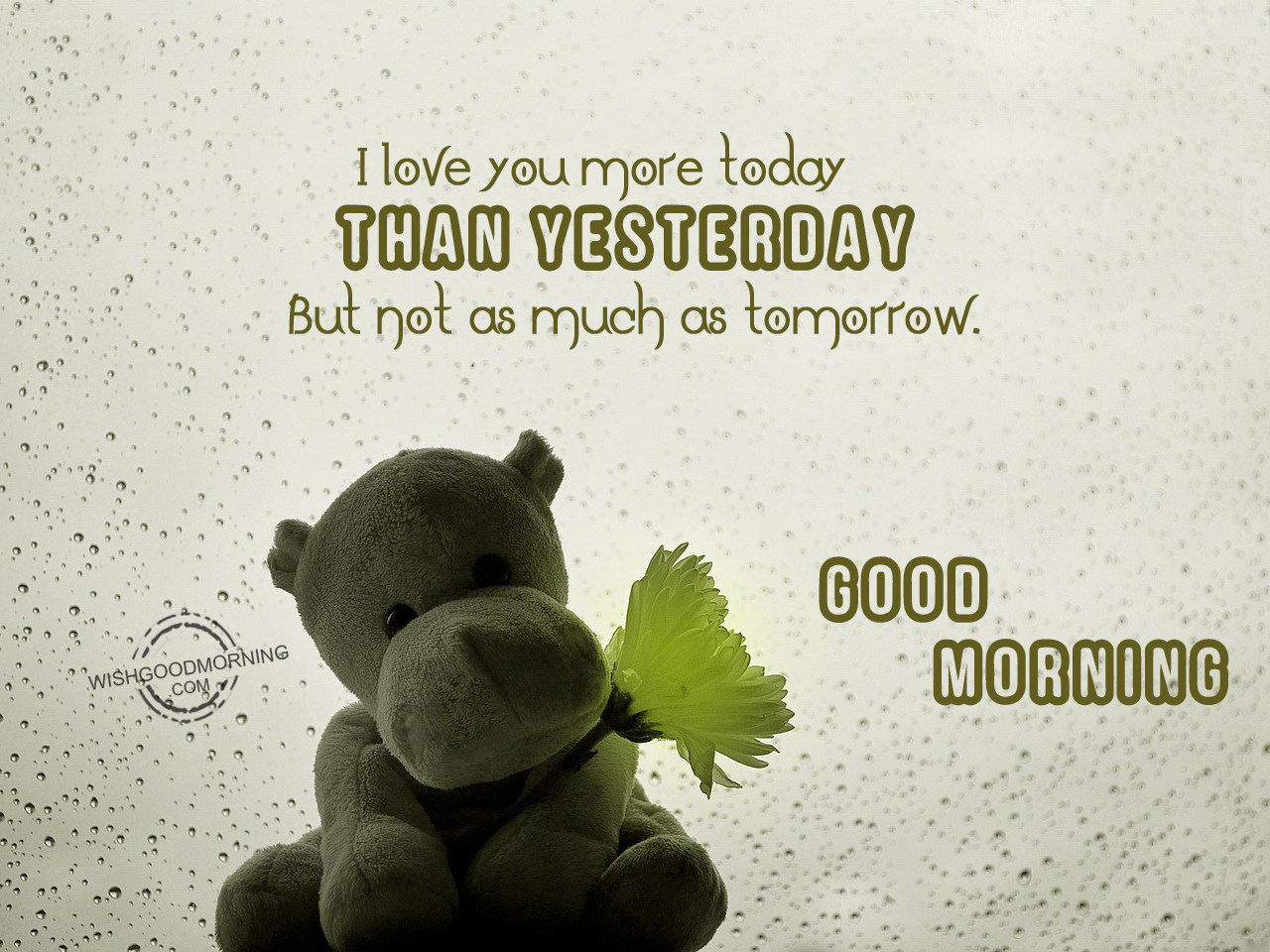I Love You More Today Than Yesterday Good Morning Pictures Wishgoodmorning Com I Love You More Today Than Yesterday Good Morning Pictures Wishgoodmorning Com