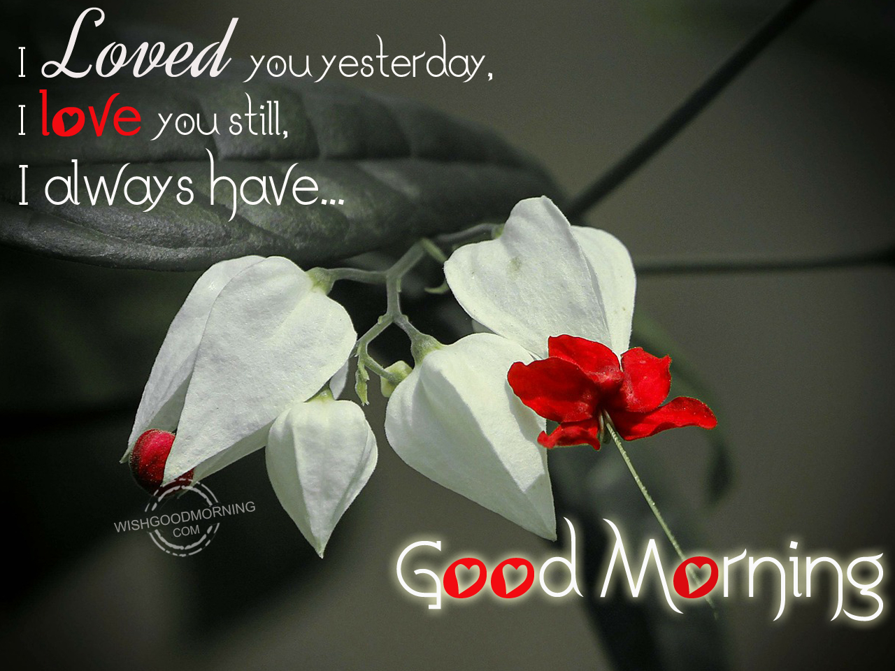 I loved you yesterday,I love you still. - Good Morning Pictures ...