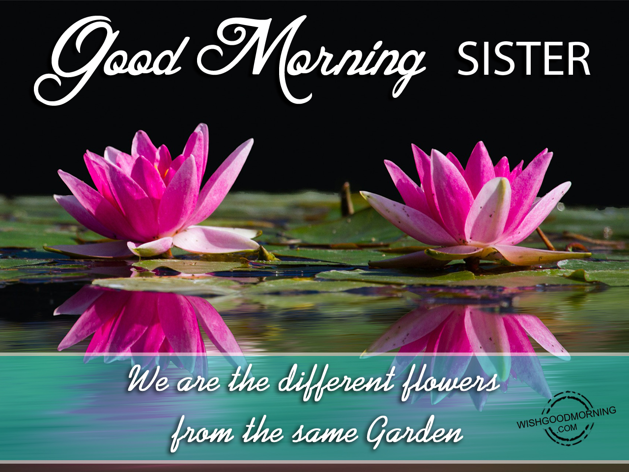 We are the different flower from same garden - Good Morning ...