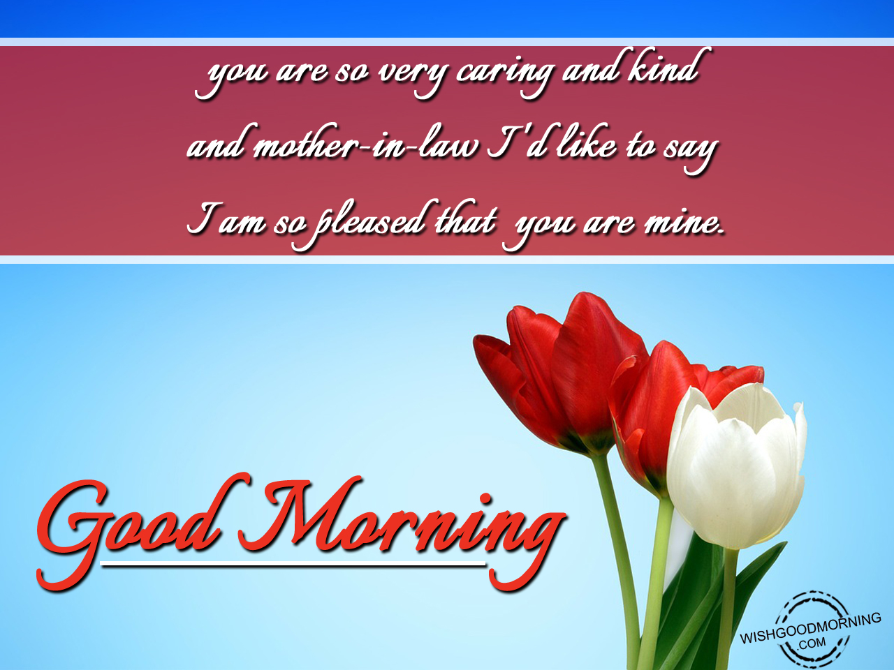 a href="https://www.wishgoodmorning.com/good-morning-wishes-for-mother-in-law/you-are...