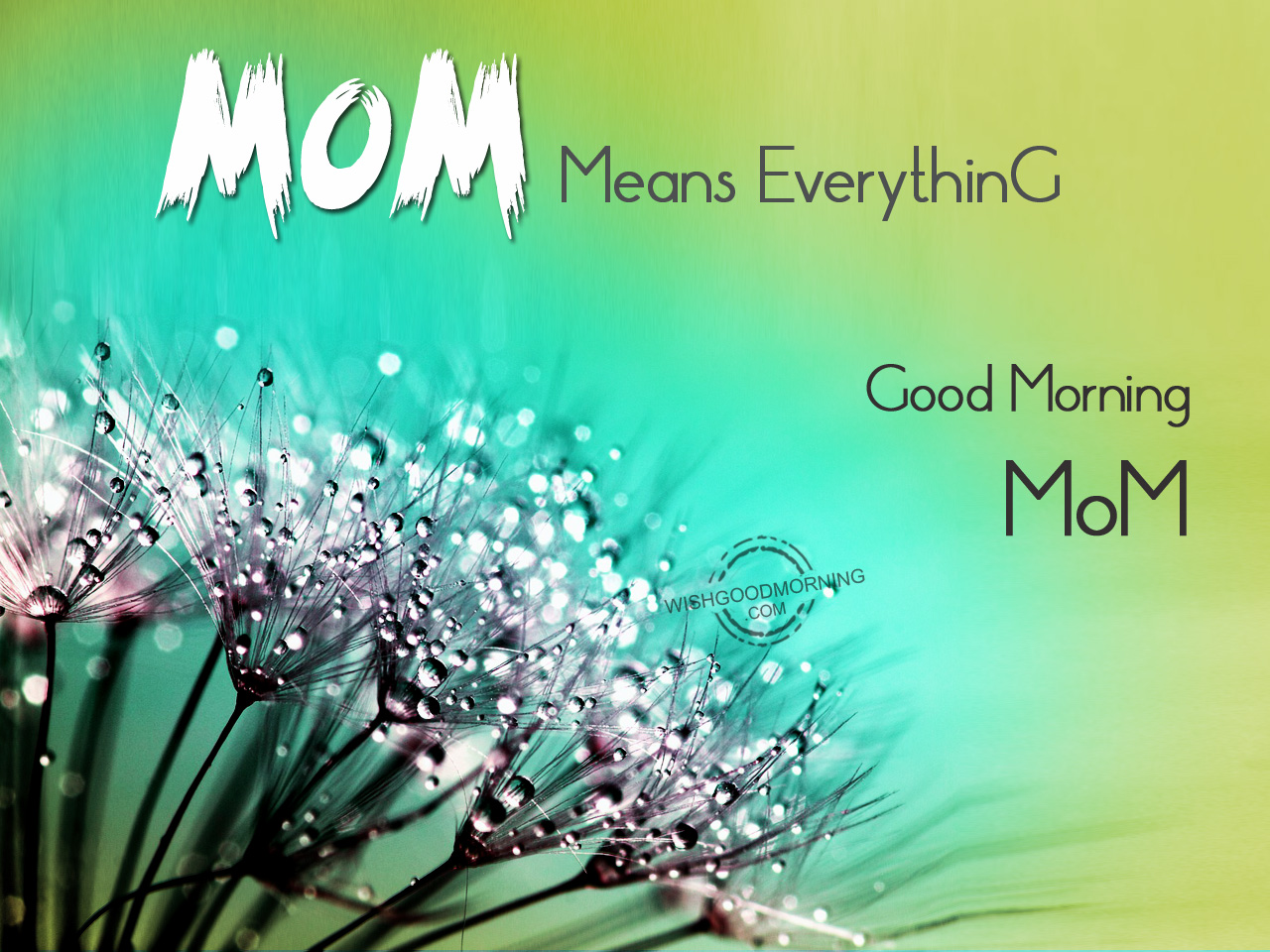 a href="https://www.wishgoodmorning.com/good-morning-wishes-for-mother/...