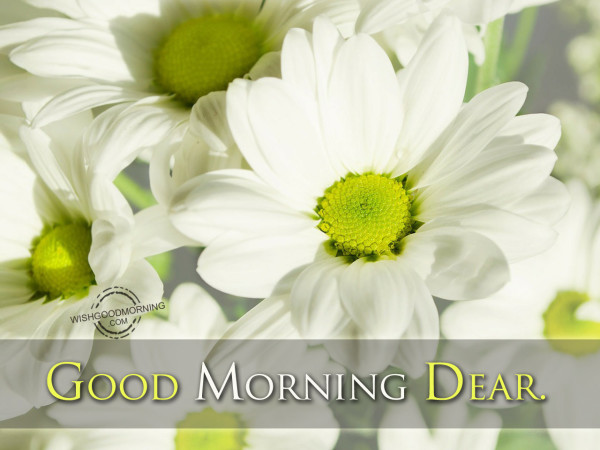 Good Morning Dear - Good Morning Pictures – WishGoodMorning.com