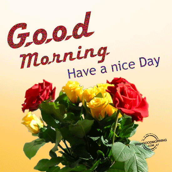Have a shining good morning