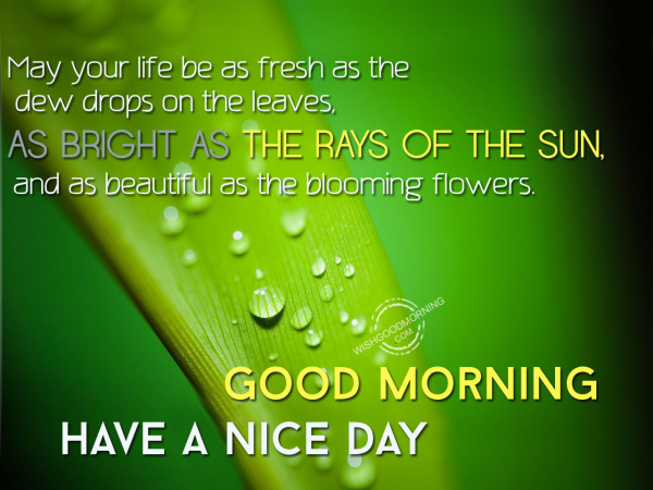 May your life be as fresh as the dew drops on the leaves - Good