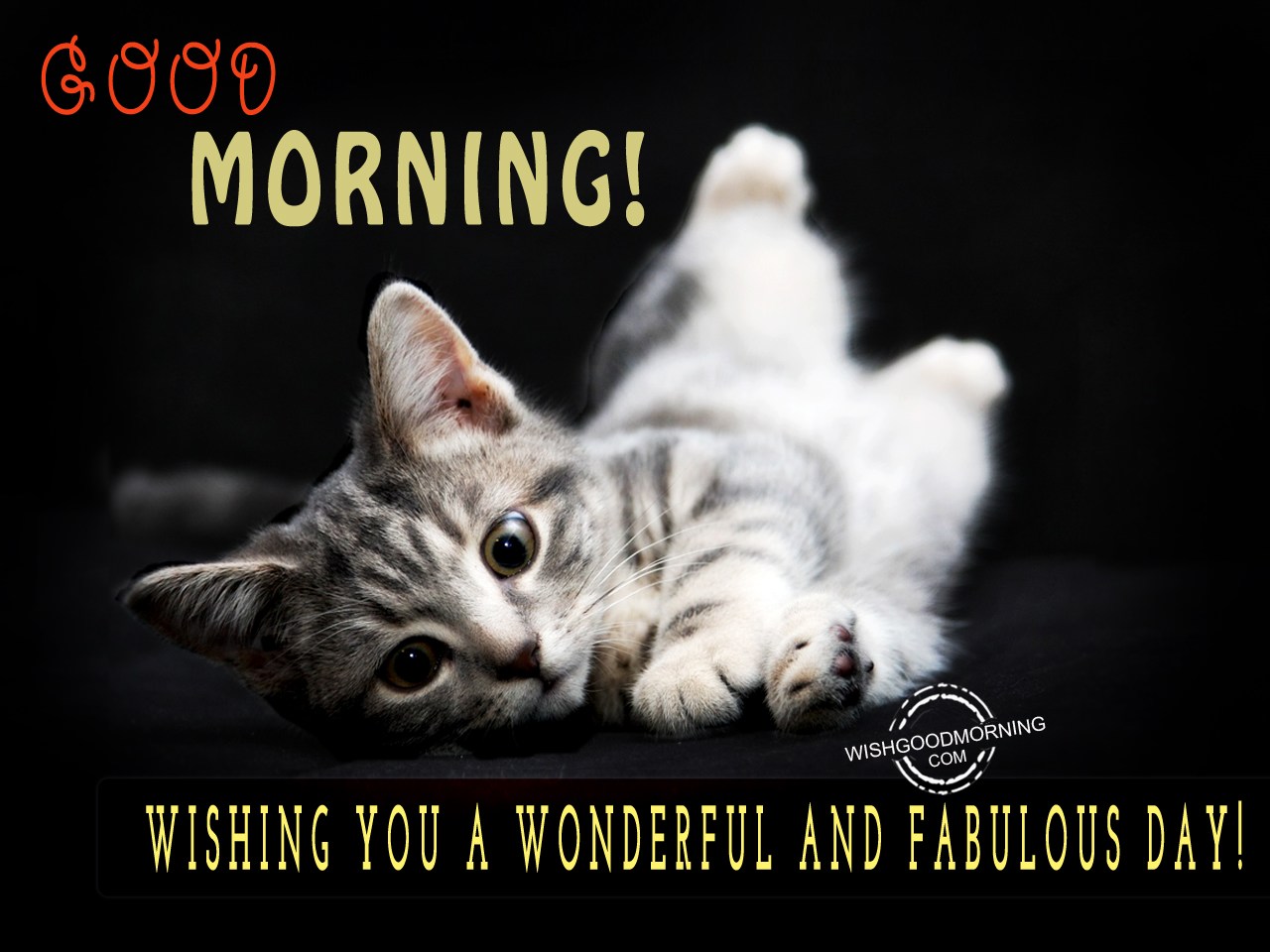 Wish You A Wonderful And Fabulous Day - Good Morning Pictures ...