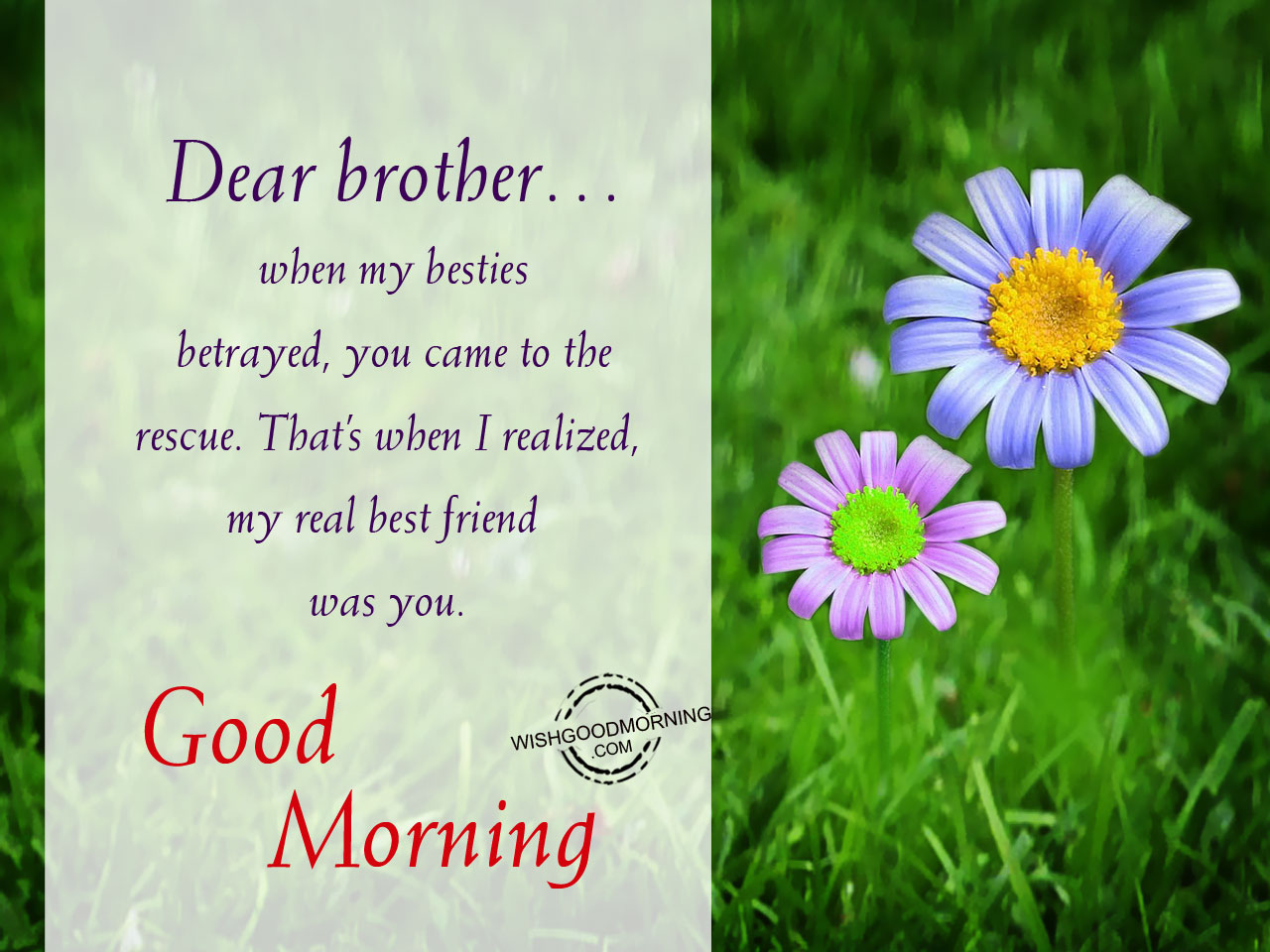 Dear brother,In my life many people have come - Good Morning ...