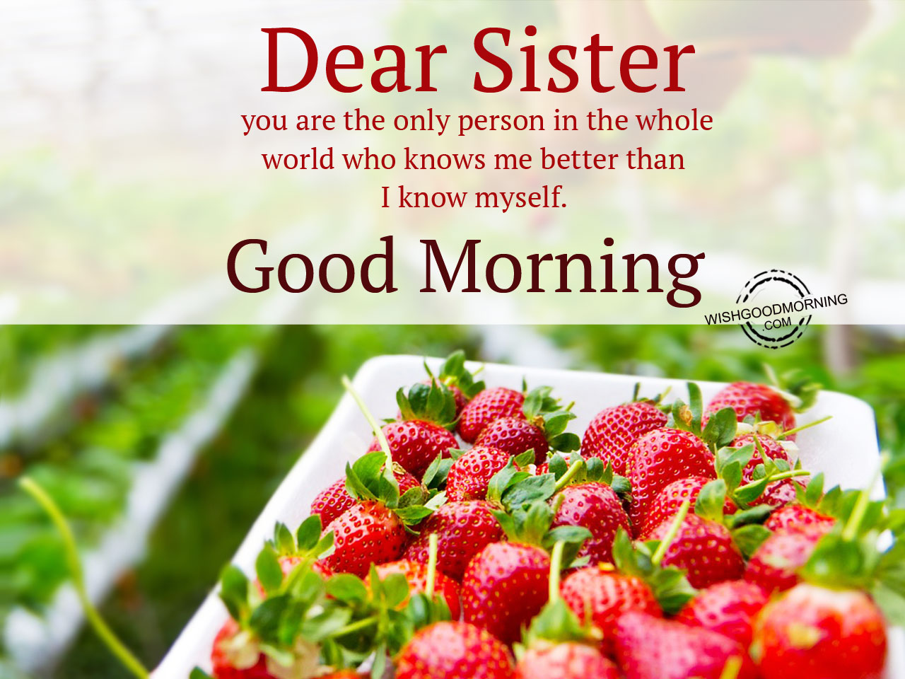 Dear sister you are the only person - Good Morning Pictures ...