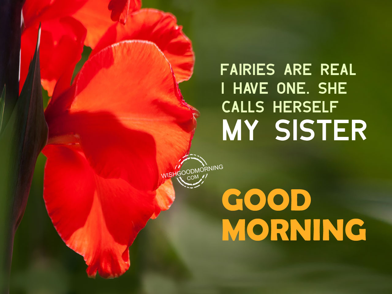 Good Morning Wishes For Sister - Good Morning Pictures ...