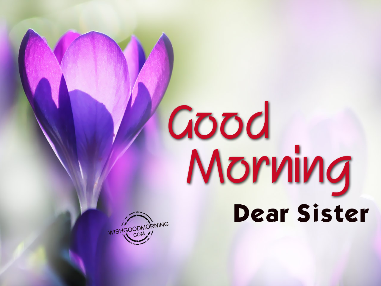 Good Morning Wishes For Sister - Good Morning Pictures ...