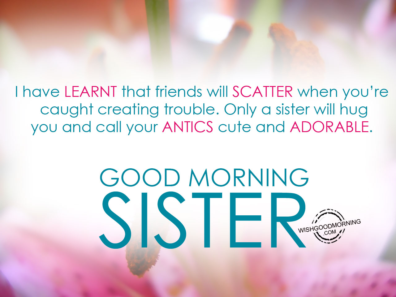 Good Morning Wishes For Sister Good Morning Pictures