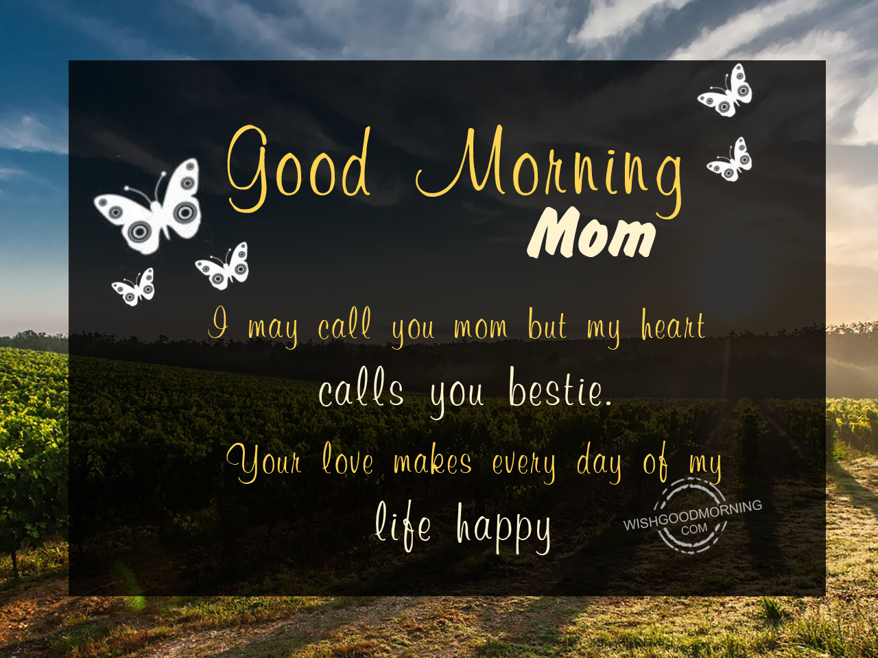 a href="https://www.wishgoodmorning.com/good-morning-wishes-for-mother/i-may-call-you...