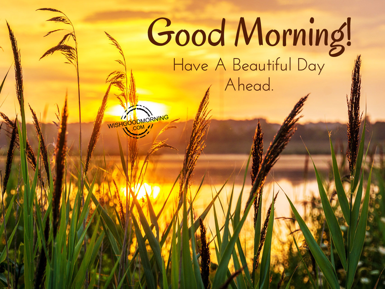 Have A Beautiful Day Ahead - Good Morning Pictures ...