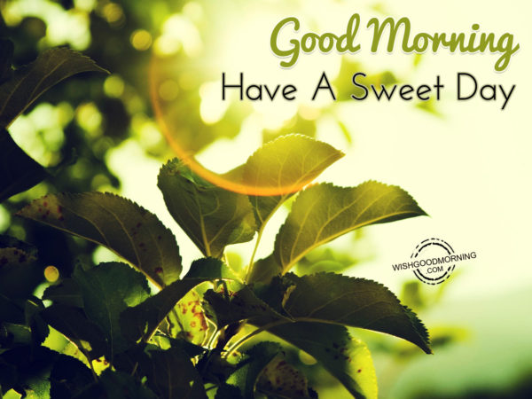 Good Morning-Have A Sweet Day - Good Morning Pictures – WishGoodMorning.com