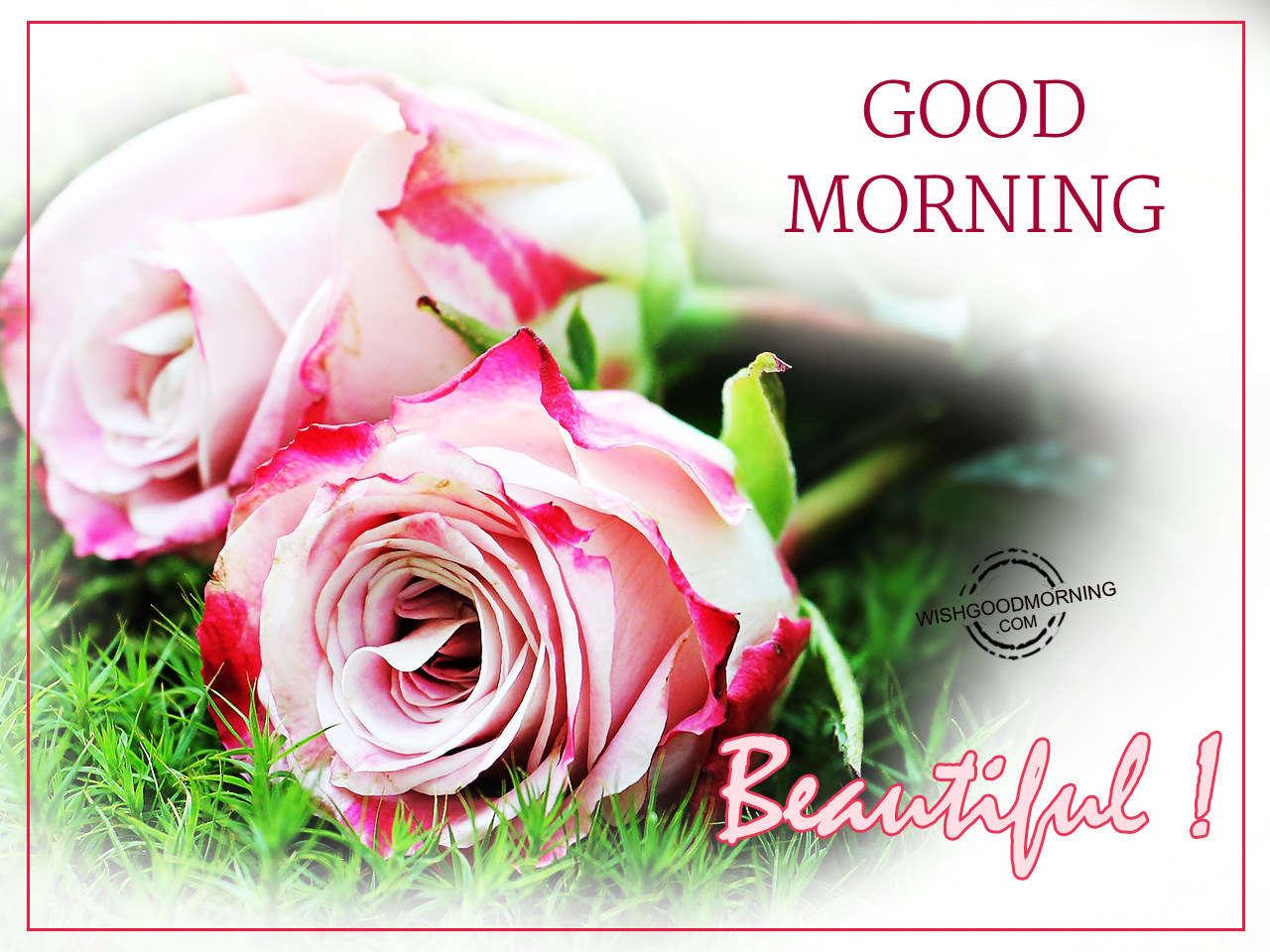 Good Morning Wishes For Wife - Good Morning Pictures ...