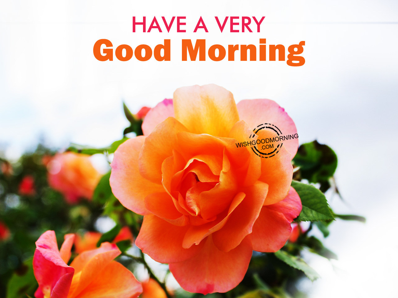 Have A Very Good Morning - Good Morning Pictures – WishGoodMorning.com