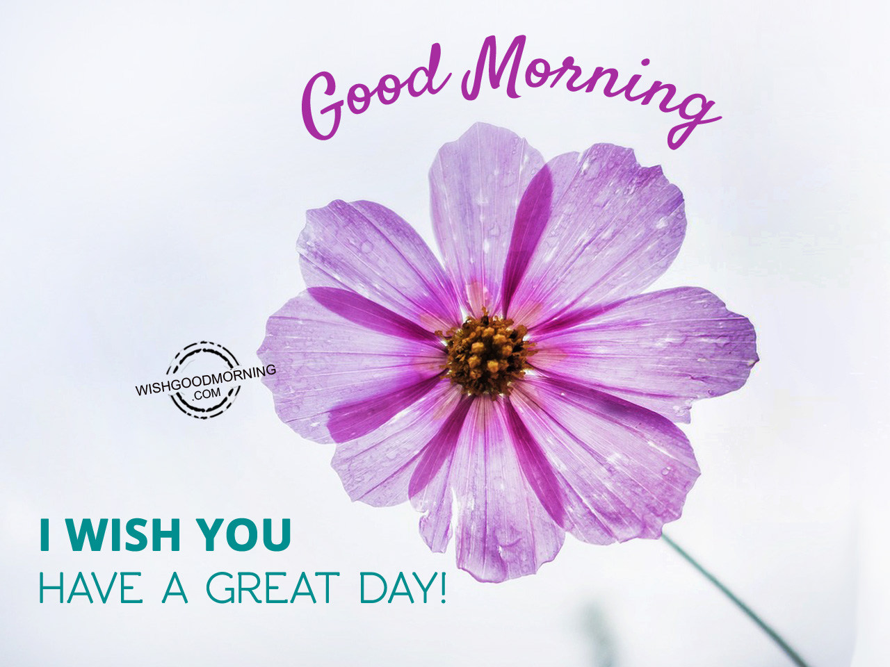 I Wish You Have A Great Day Good Morning - Good Morning Pictures ...