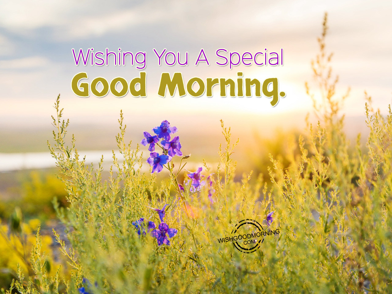 Wishing You A Special Good Morning - Good Morning Pictures ...