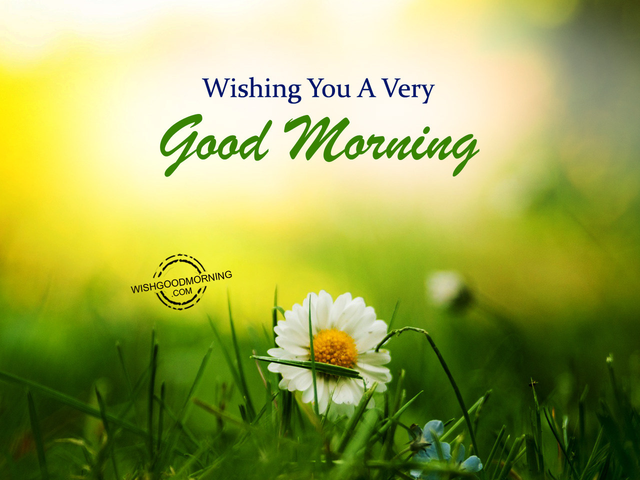 Wishing You A Very Good Morning - Good Morning Pictures ...