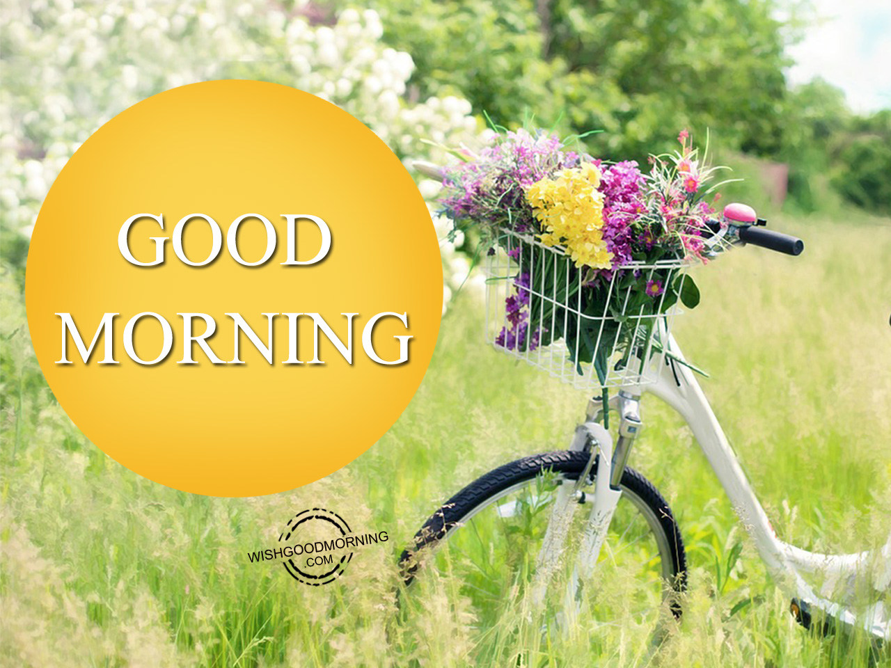 Good Morning Pic - Good Morning Pictures – WishGoodMorning.com