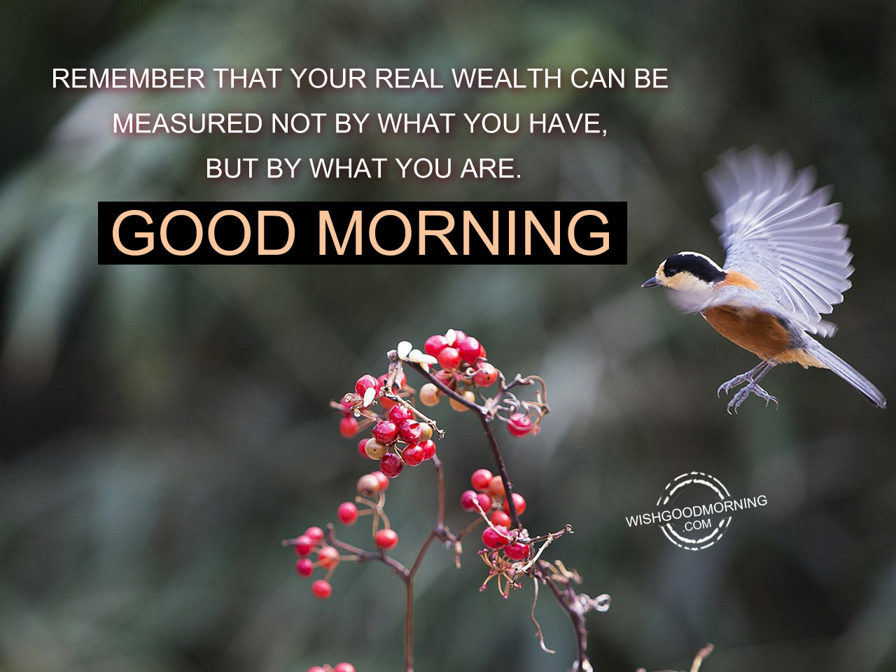 Remember That Your Real Wealth Can Be Measured Not By What You ...