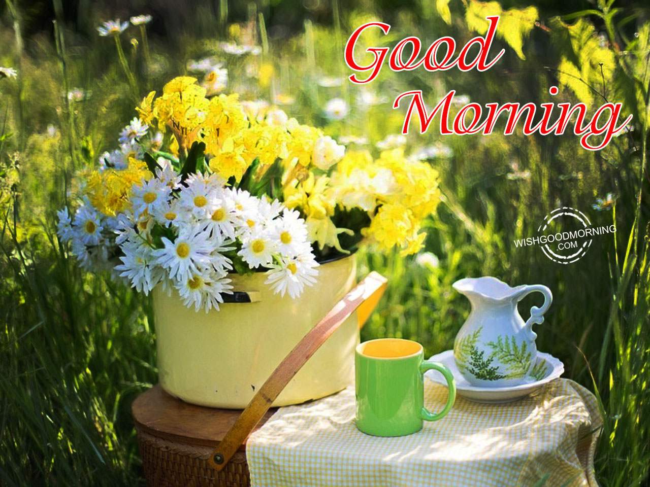 Good Morning Wishes - Good Morning Pictures – WishGoodMorning.com