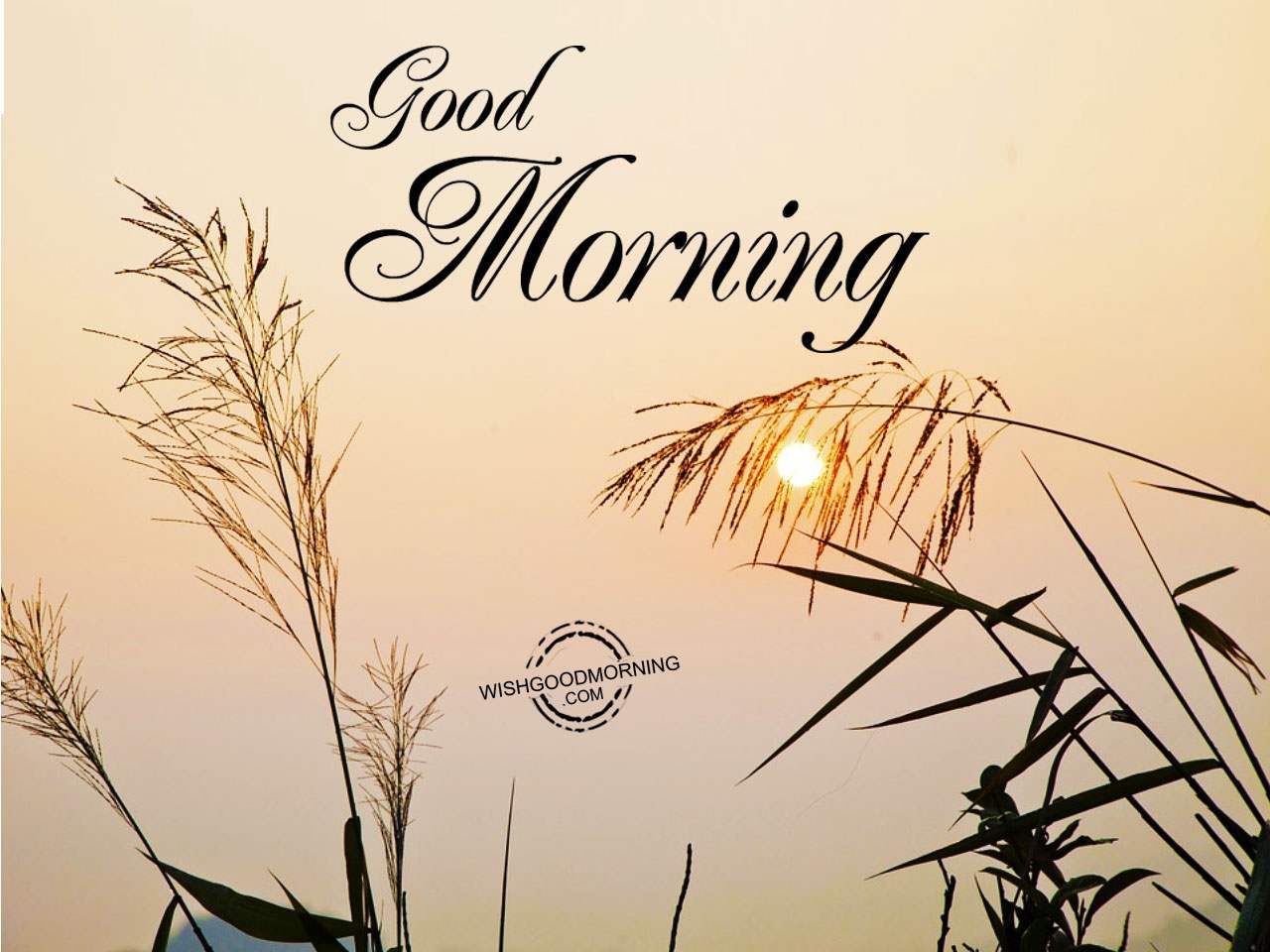 Good Morning – Happy Day - Good Morning Pictures – WishGoodMorning.com