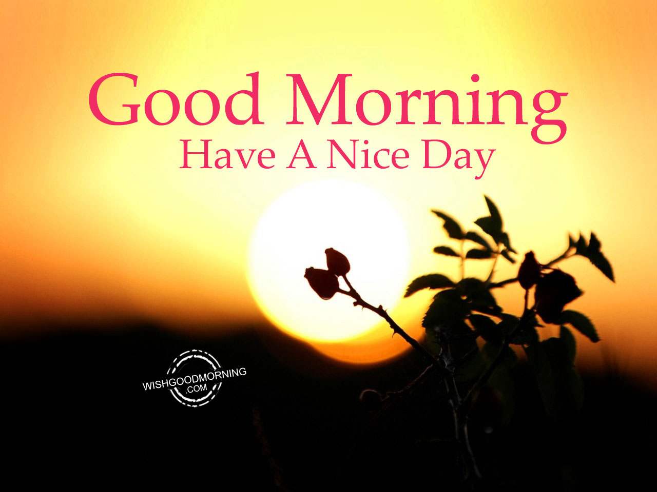 Good Morning Wishes - Good Morning Pictures – WishGoodMorning.com