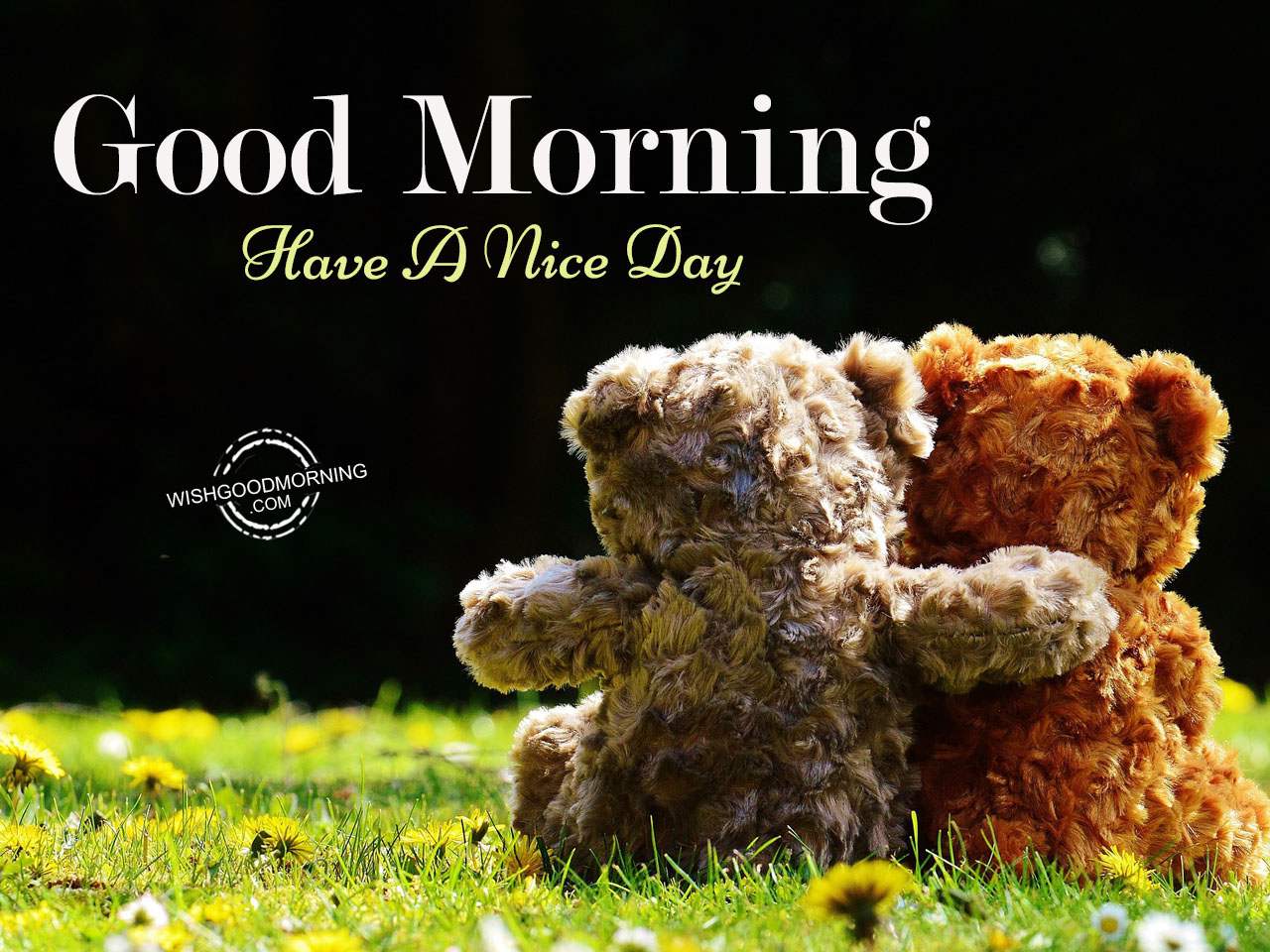 Have A Wonderful Day – Good Morning - Good Morning Pictures ...