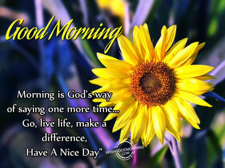 Morning Is God’s Way Of Saying One More Time – Good Morning - Good ...
