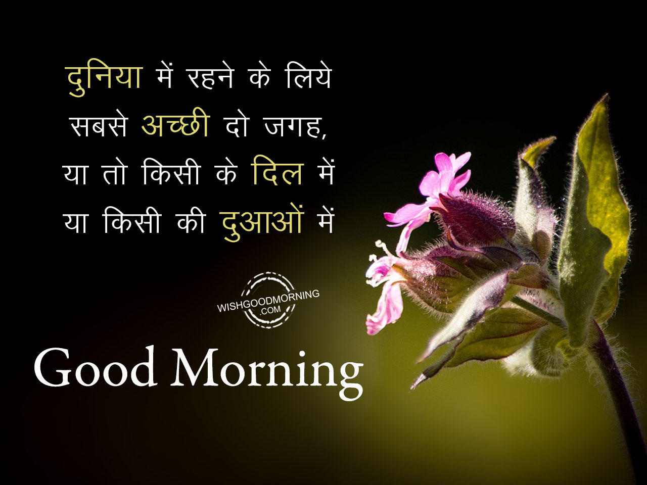 Duniya main rehne ke liye – Good Morning - Good Morning Pictures ...