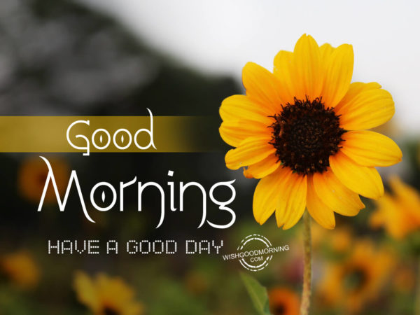 Good Morning, Have a good day - Good Morning Pictures – WishGoodMorning.com