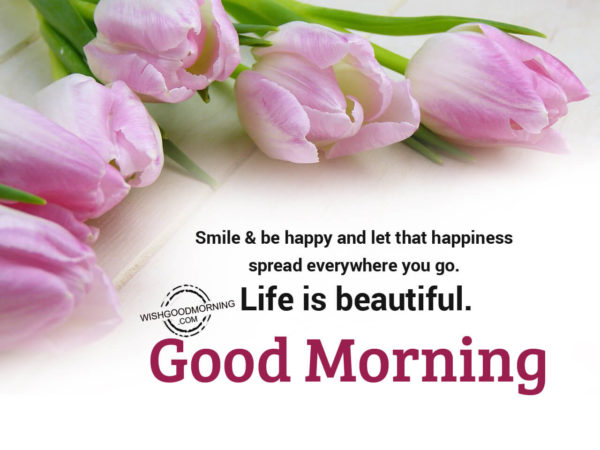 Good Morning Wishes - Good Morning Pictures – WishGoodMorning.com