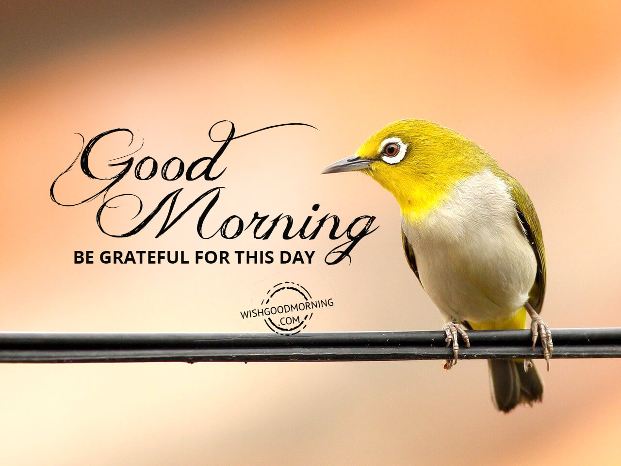 Very Good Morning - Good Morning Pictures – WishGoodMorning.com