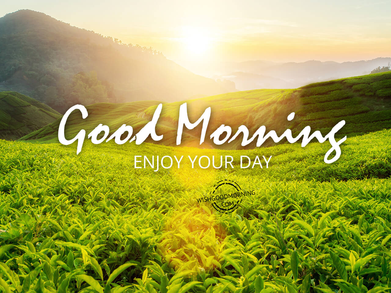 Extensive Collection of 999+ Good Morning Wishes and Images in Stunning ...