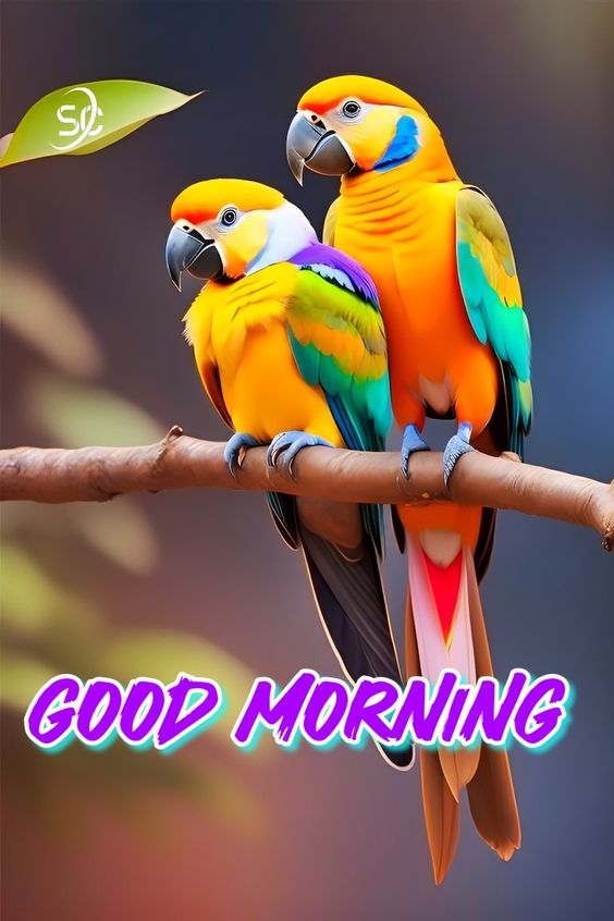 Good Morning Beautiful parrot - Good Morning Pictures – WishGoodMorning.com