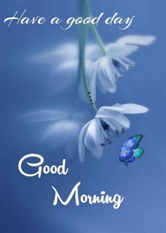 Good Morning Blue Flower Pic - Good Morning Pictures – WishGoodMorning.com