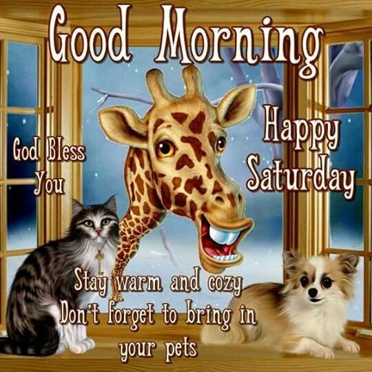 Good Morning Giraffe Happy Saturday - Good Morning Pictures ...